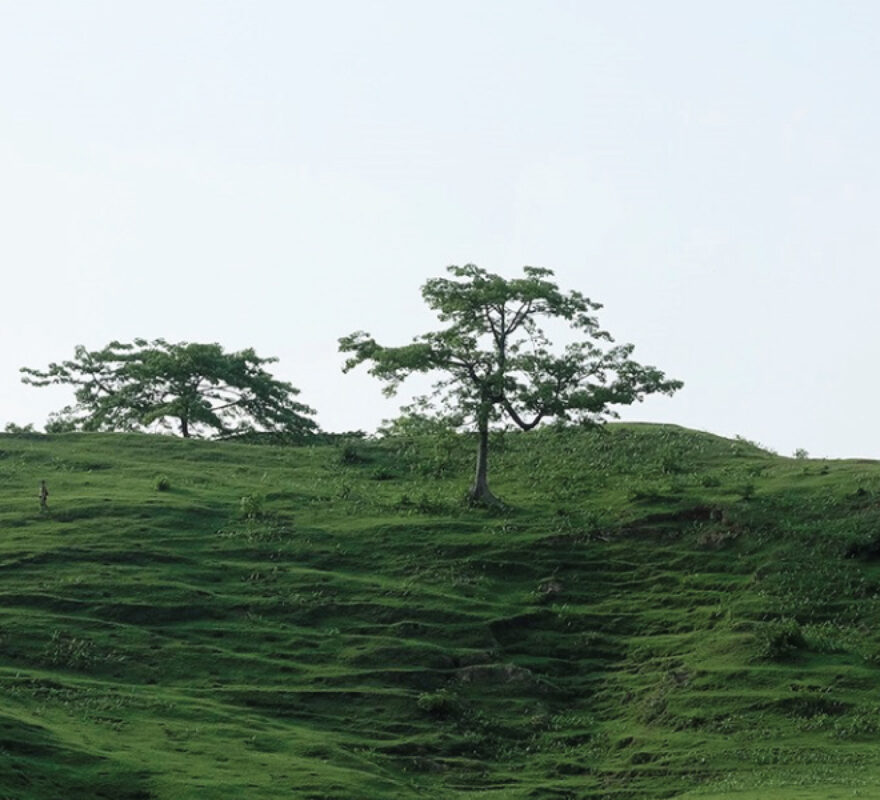 corporate-responsiblity-hillside